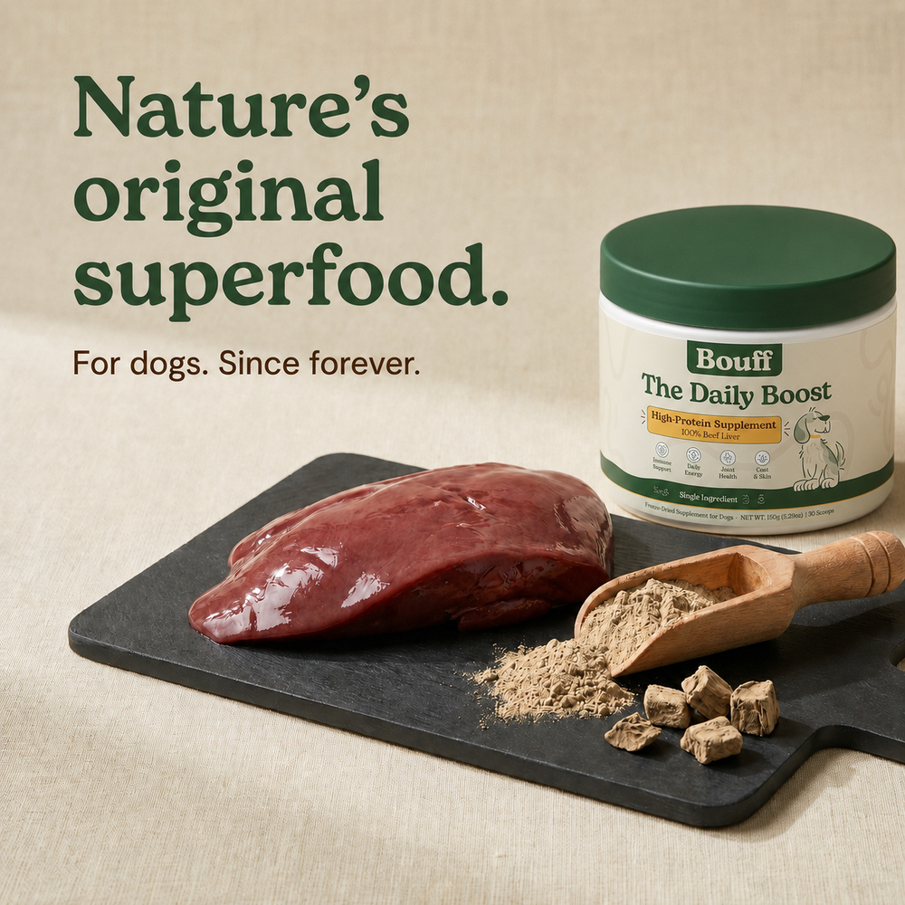 The most nutrient-dense food on earth