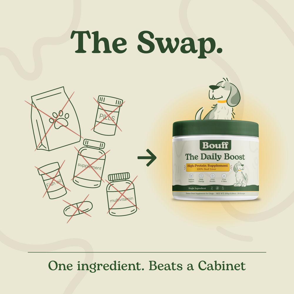 lander-the-swap.png