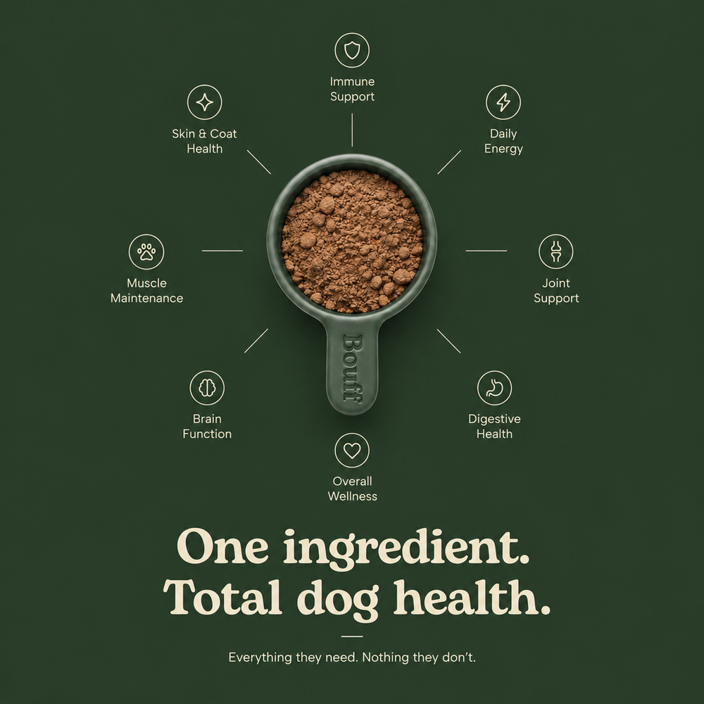 lander-total-dog-health.png