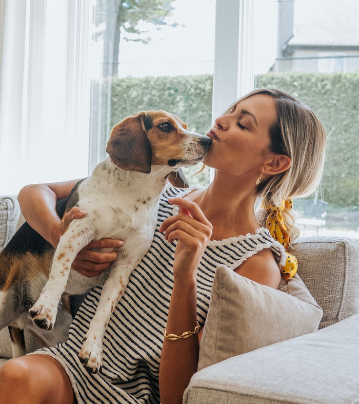 It Started with a Picky Beagle: The Bouff Story