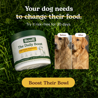 Bouff - The Daily Boost