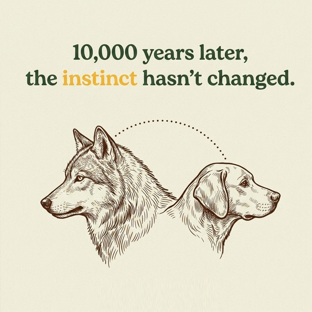 It's not stubbornness. It's instinct.