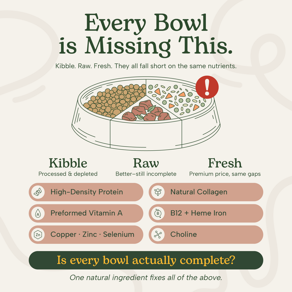 lander-every-bowl-segmented.png